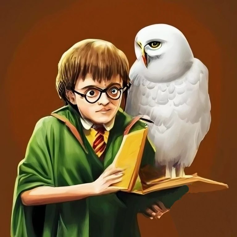 Harry Potter en zijn witte uil