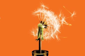 boek-omslag-Contagious-Jonah-Berger